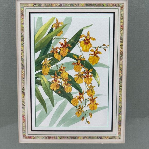 Orchid Flower Print Oncidium Gower Ramsey In Frame Tropical Nature Collection Ch - Picture 2 of 6